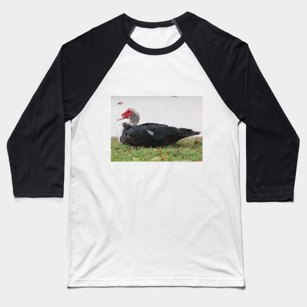 Not The Most Beautiful Duck Baseball T-Shirt by Judy Geller